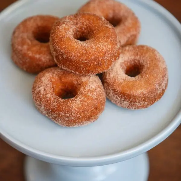 W_Donuts-Sugar_Whipped-Gluten_Free-Vegan-Donuts-Lancaster_047